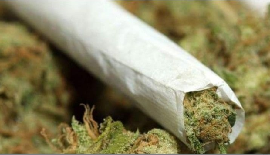 FEDERAL STUDY WILL PAY YOU ,000 PER WEEK TO CONSUME CANNABIS